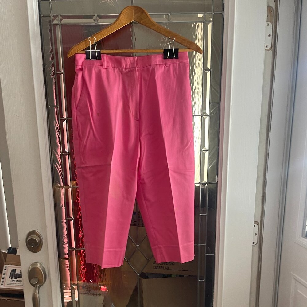 Astra Classic Womens Capri Pants Pink Stretch Size 10